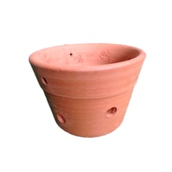 Vaso Orquídea Especial Vasos Tupã Nº 01