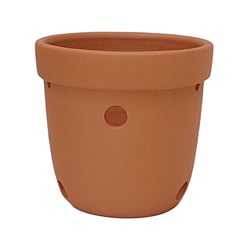 Vaso Para Orquídeas Boa Nova Cerâmica Alto - Casa E Jardim
