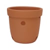 Vaso Para Orquídeas Boa Nova Cerâmica Alto - Casa E Jardim