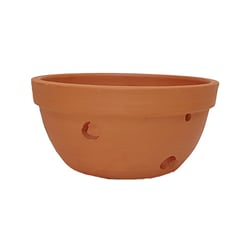 Vaso Para Orquídeas Boa Nova Cerâmica Natural M - Tamanho M