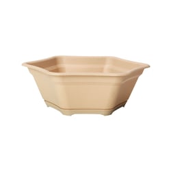 Vaso Para Suculenta Desli Com Prato Areia Para Jardim