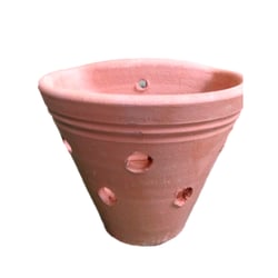 Vaso Parede Orquídea Tupã Nº 00