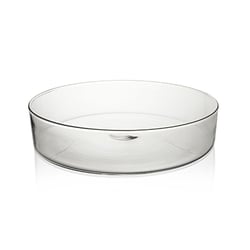 Vaso Redondo Luvidarte Transparente - Tamanho 2 Para Suculentas