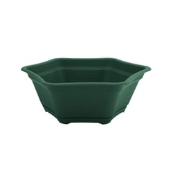 Vaso Suculenta Desli Verde Com Prato Para Jardim
