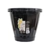 Vaso Uninjet Preto Com Prato Tamanho 35 Para Jardim