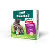 Vermífugo Drontal Plus Sabor Carne Para Cães Até 10Kg - 4 Comprimidos - 2 Comprimidos