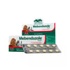 Vermífugo Mebendazole Vetnil Para Cães E Gatos - 10 Comprimidos