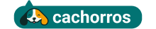 Cachorros